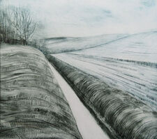 Winter Rhyne