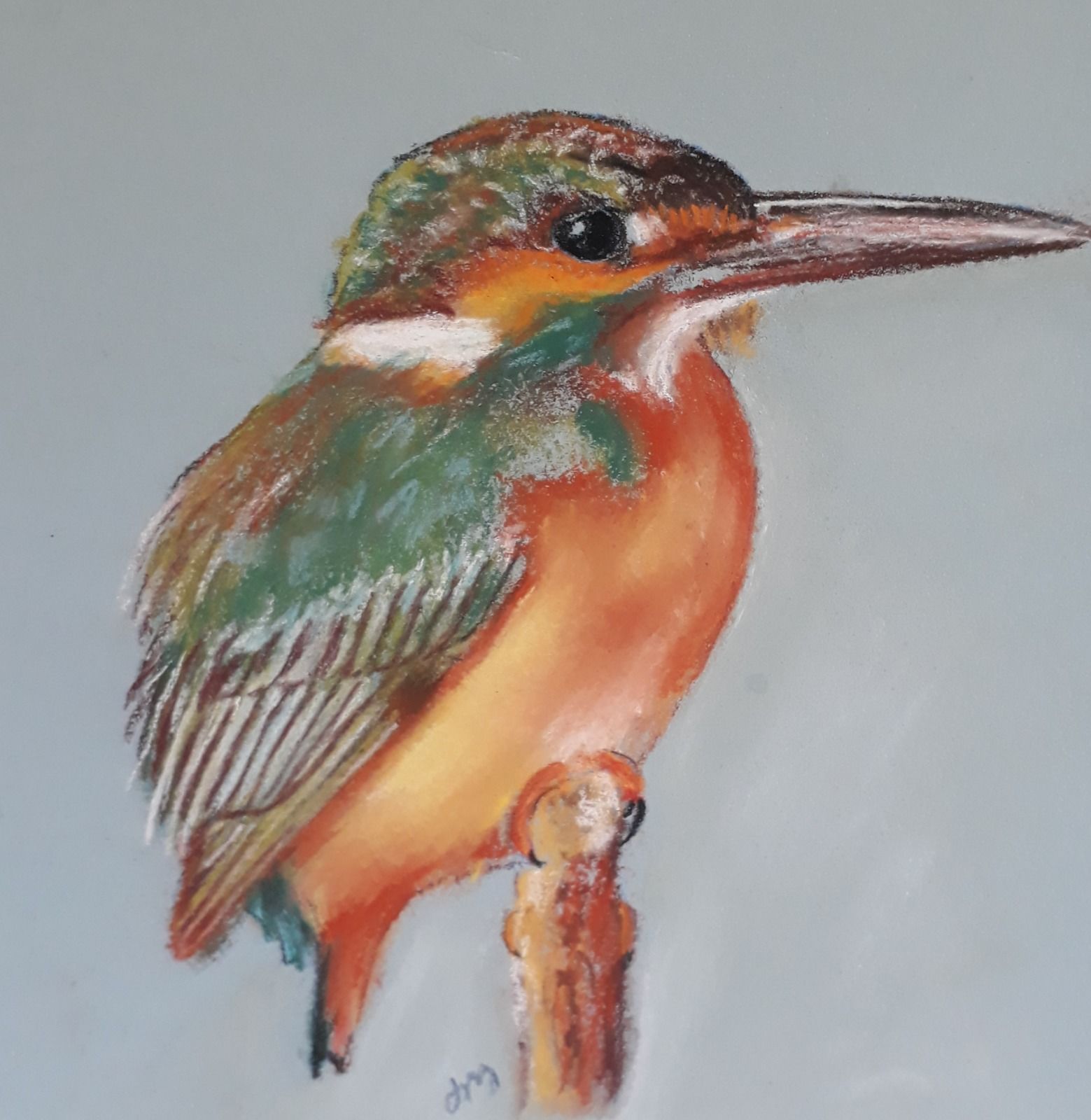 kingfisher SOLD