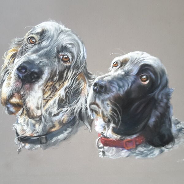 English Setters in pastel