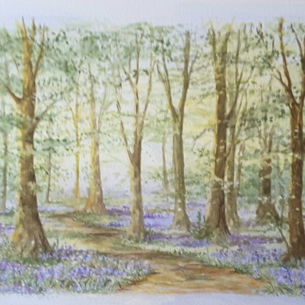 "Bluebell Woods" in watercolour