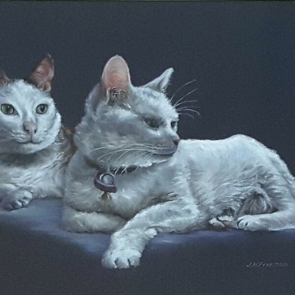 "Cats at rest" in pastel