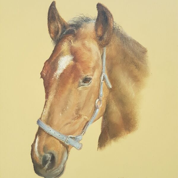 Horse in pastel