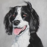 Spaniel - Pastel
