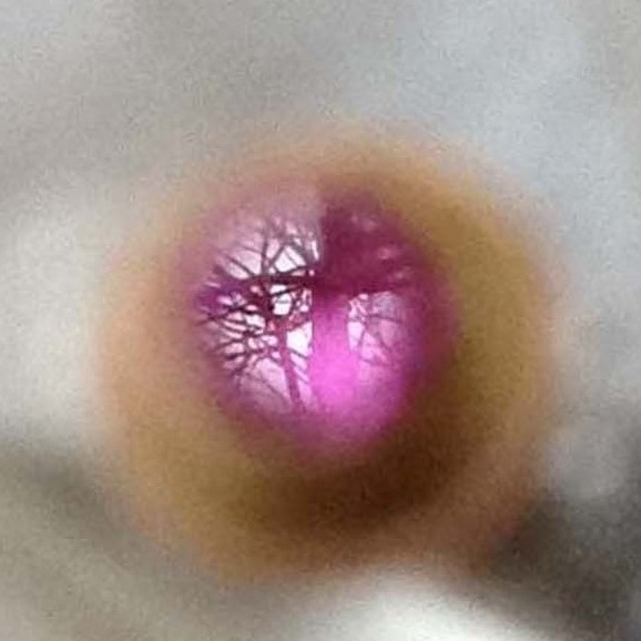Closeup