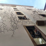 Waterbones (climbing walls), 2018