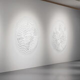 Sound, liquids and other particles