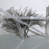 Rainbow Trusses (wildboxie rosmarinho), 2010