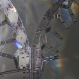 Rainbow Trusses (double vanishing arc on euphorbia erithrea), 2009