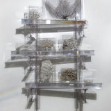 Rainbow Trusses (studio suggestions creatures III), 2010