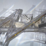 Rainbow Trusses (studio suggestions creatures IV), 2010