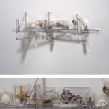 Rainbow Trusses (studio suggestions creatures I), 2009