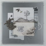 Fossil cast doubts on molecular clock (Collage VII) 2013