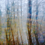 Autumn Impressions III