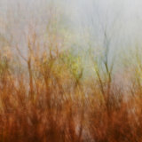 Autumn Impressions II