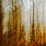 Autumn Impressions IV