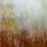 Autumn Impressions I
