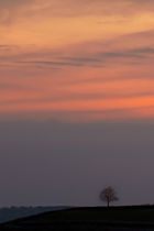Ball Hill at Dusk