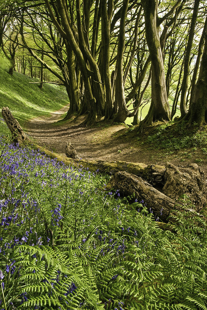 Beltane (May 1)