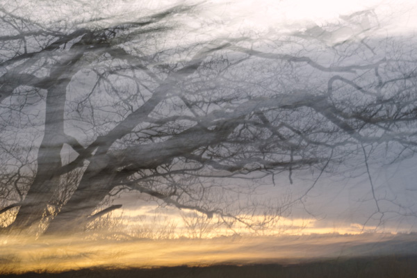 Enchanted Evening