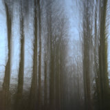 Ghost Road