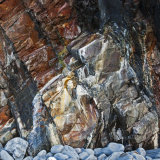 Hartland Rocks III