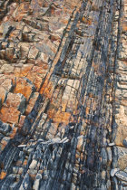 Hartland Rocks II