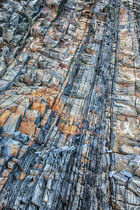 Hartland Study V
