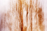 Hedgerow Abstract I