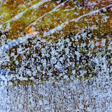 Ice Study II