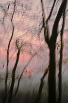 Misty Winter Evening