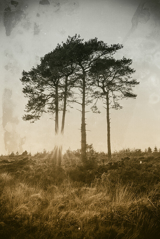 Ostara, The Spring Equinox