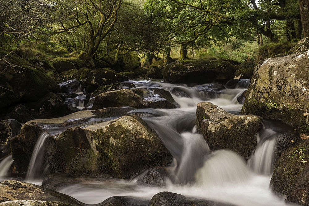 West Dart River