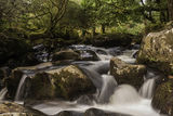 West Dart River