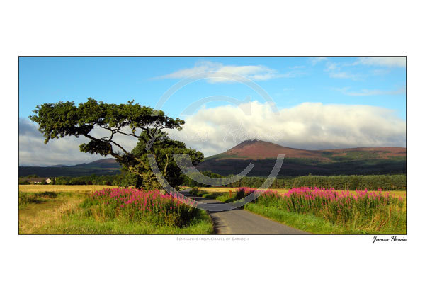 Bennachie from Chapel of Garioch