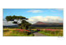 Bennachie from Chapel of Garioch