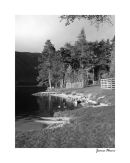 Loch Muick B&W