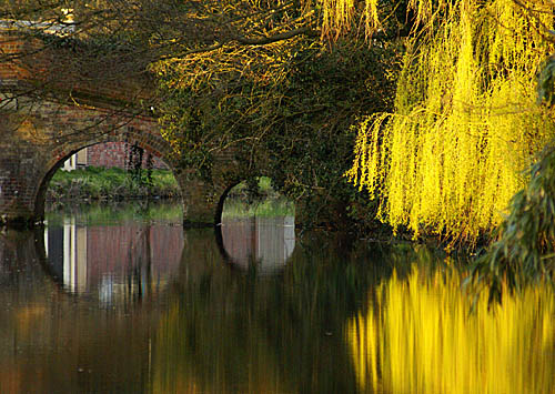River Wey Bridge