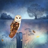 Nightwatch