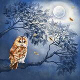 The Moonlight Owl
