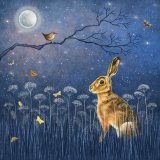 A midnight melody