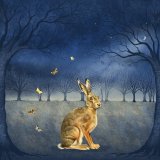 The still of the night