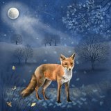 The wanderer returns