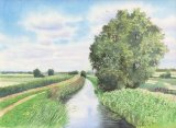 Burwell Fen, Watercolours on paper, 12x9