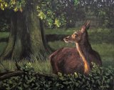 Catching the Light, oils on board, framed