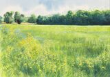 From Cow Bridge, 297mm x 210mm