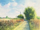 Long Hot Summer, 297mm x 210mm