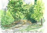 The view down the drive at the holiday house near Montegabbione, Umbria, Italy. My first sketch in Italy! Very, very warm, breezy, 6th August 2019