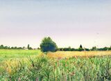 Walking back from Cow Bridge, 297mm x 210mm