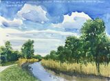 Wicken Fen 2