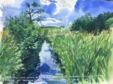 Wicken Fen 3